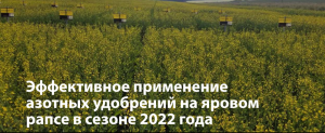 Применение азотных удобрений на яровом рапсе