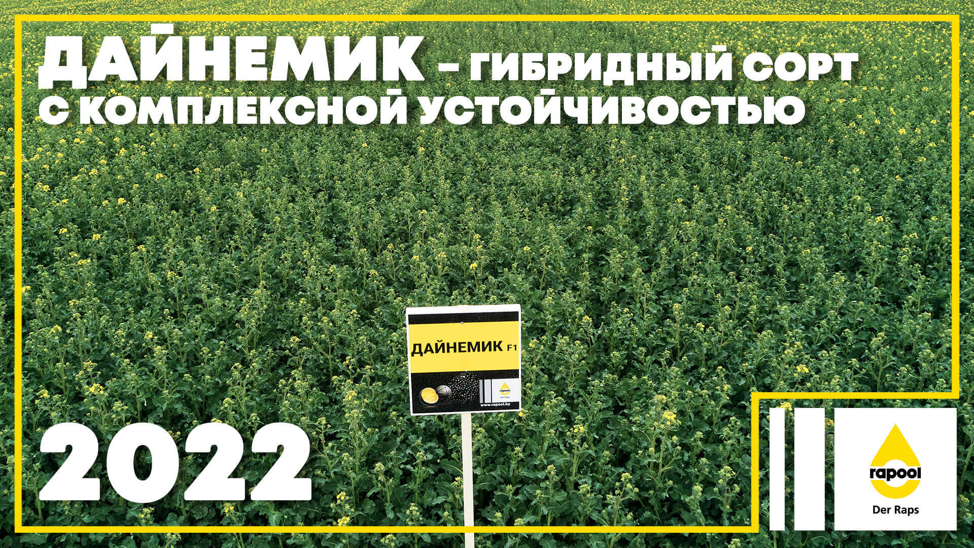 Дайнемик  – комплексная устойчивость