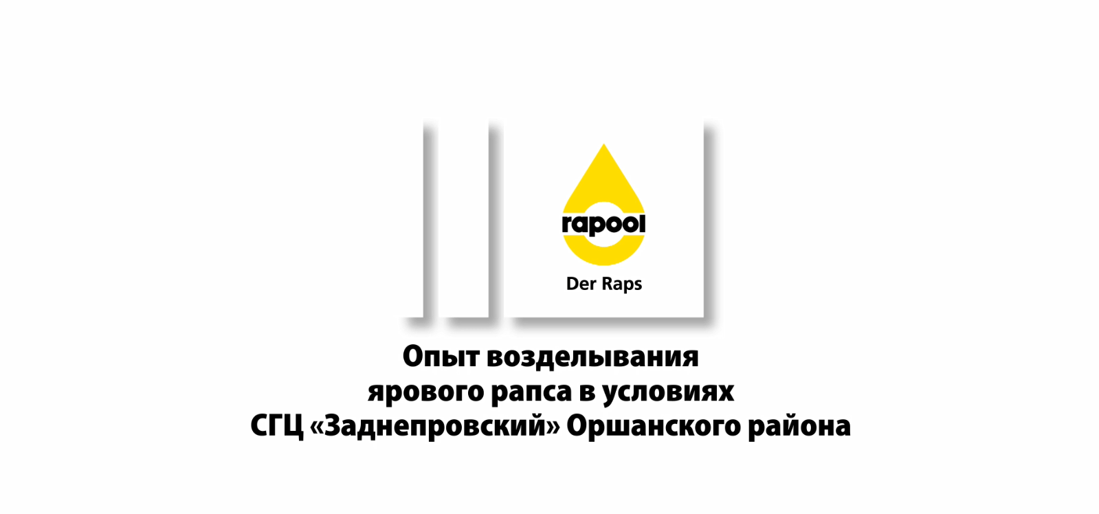 Опыт возделывания ярового рапса в условиях СГЦ «Заднепровский» Оршанского района