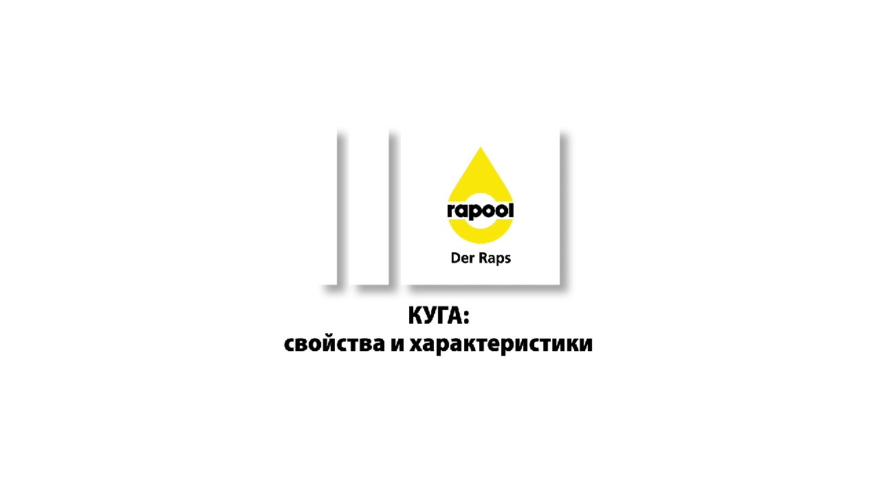 Озимый рапс — КУГА